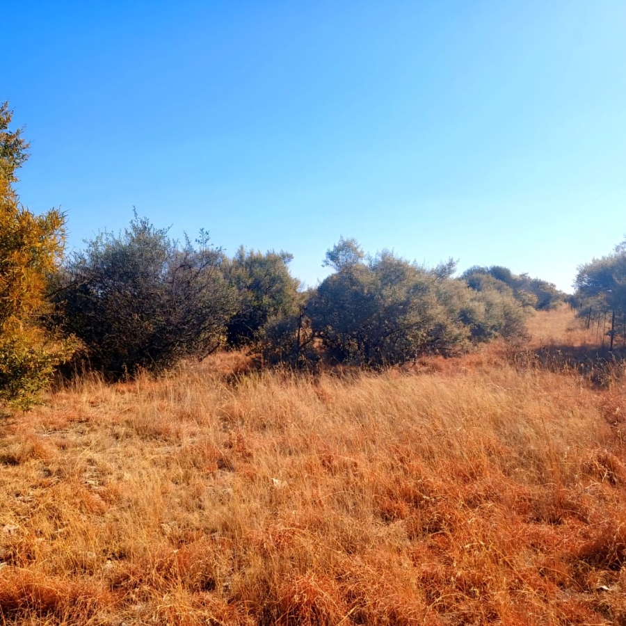 Commercial Property for Sale in Reivilo Northern Cape